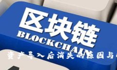 Tokenim 资产导入后消失的原因与解决方案