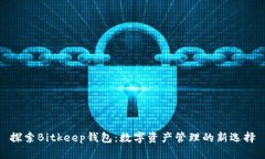 探索Bitkeep钱包：数字资产管理的新选择
