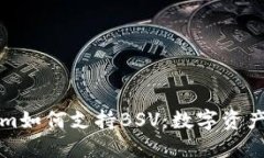解密Tokenim如何支持BSV：数字资产的未来之路