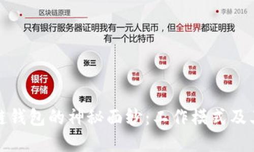 揭开区块链钱包的神秘面纱：工作模式及其应用详解