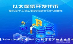 探索Tokenim平台中的BEB：数字资产的未来与机会