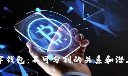 区块链与数字钱包：不可分割的关系和潜在的替代方案