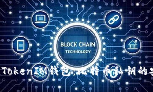 : 掌握TokenTokenIM钱包：比特币私钥的安全存储方案