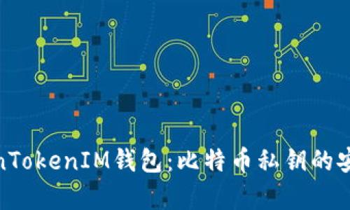 : 掌握TokenTokenIM钱包：比特币私钥的安全存储方案