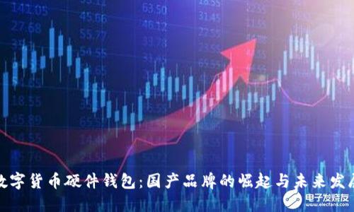 数字货币硬件钱包：国产品牌的崛起与未来发展