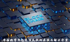 中国数字钱包充值失败的原因及解决方案