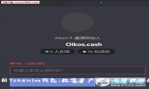  全面解析Tokenim钱包：数字资产安全与管理的最佳选择