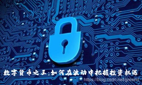 数字货币之王：如何在波动中把握投资机遇