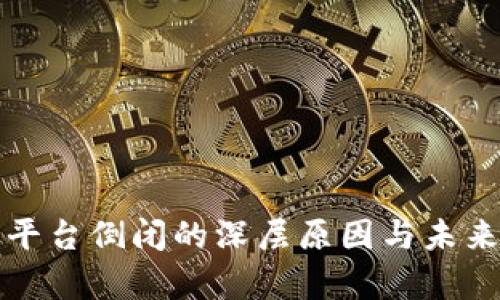 加密货币平台倒闭的深层原因与未来趋势分析