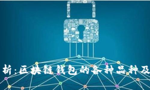 深入分析：区块链钱包的各种品种及其特点
