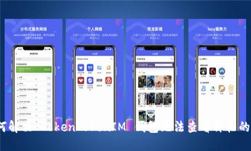 : 如何解决 TokenTokenIM 钱包无法查看价格的问题？