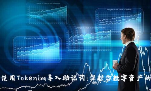 如何安全使用Tokenim导入助记词：保护你数字资产的终极指南