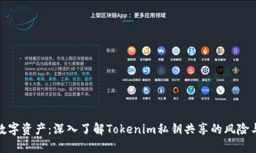 保护您的数字资产：深入了解Tokenim私钥共享的风险与安全策略
