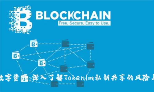 保护您的数字资产：深入了解Tokenim私钥共享的风险与安全策略