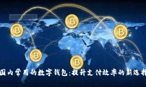 国内常用的数字钱包：提升支付效率的新选择