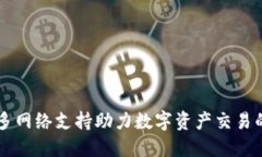 Tokenim：多网络支持助力数字资产交易的全面发展