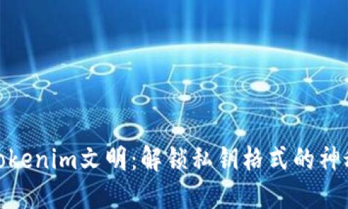 探索Tokenim文明：解锁私钥格式的神秘面纱