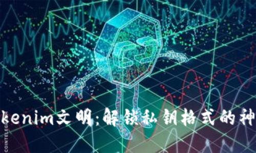 探索Tokenim文明：解锁私钥格式的神秘面纱