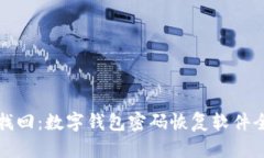 轻松找回：数字钱包密码恢复软件全解析
