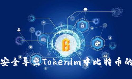 如何安全导出Tokenim中比特币的私钥？