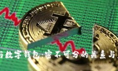 区块链与数字钱包：密不可分的关系与未来展望