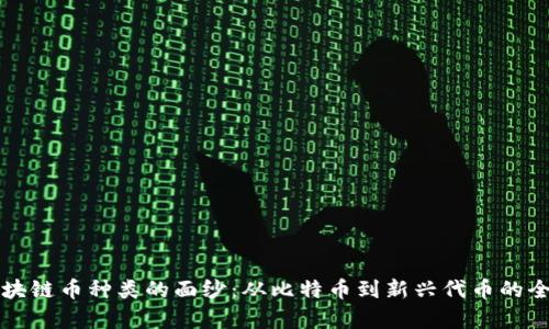 揭开区块链币种类的面纱：从比特币到新兴代币的全面分析