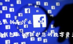 加密钱包私钥是什么意思揭秘加密钱包私钥：保