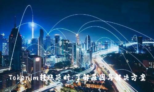 Tokenim转账延时：了解原因与解决方案