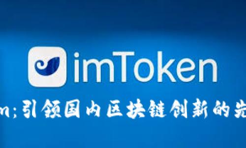 Tokenim：引领国内区块链创新的先锋之旅
