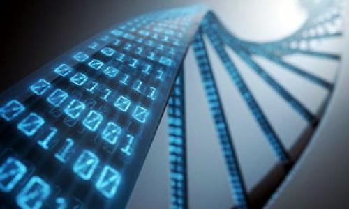 

解密TokenTokenIM钱包：解决地址无法使用的根本原因