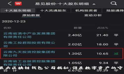 全球最大区块链钱包公司揭秘：谁是数字资产的守护者？