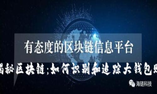 : 揭秘区块链：如何识别和追踪大钱包账号