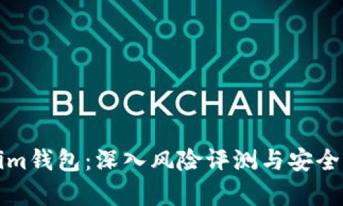 Tokenim钱包：深入风险评测与安全性分析