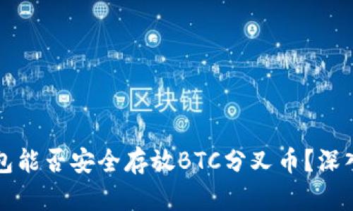 ## Tokenim钱包能否安全存放BTC分叉币？深入解析与实用指南