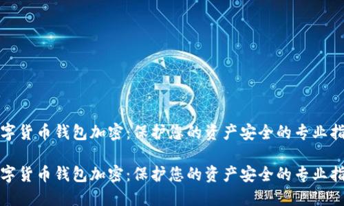 数字货币钱包加密：保护您的资产安全的专业指南

数字货币钱包加密：保护您的资产安全的专业指南