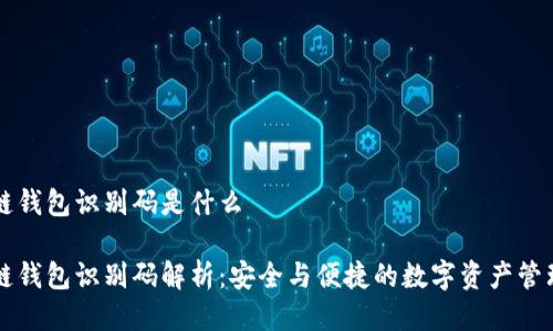 区块链钱包识别码是什么

区块链钱包识别码解析：安全与便捷的数字资产管理利器
