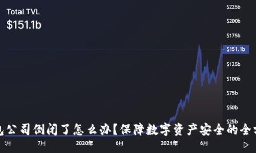 硬件钱包公司倒闭了怎么办？保障数字资产安全的全方位指南