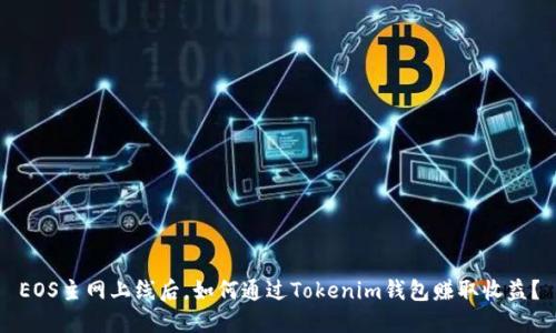 EOS主网上线后，如何通过Tokenim钱包赚取收益？