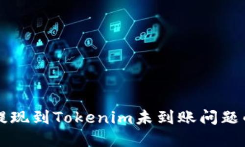 解决币安提现到Tokenim未到账问题的全面指南