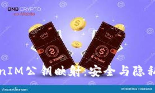探索TokenIM公钥映射：安全与隐私的新纪元