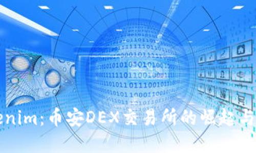 探索Tokenim：币安DEX交易所的崛起与未来展望
