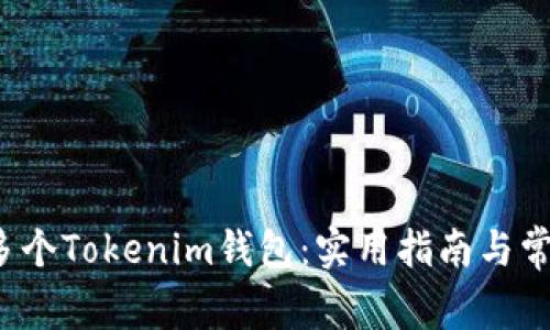  如何申请多个Tokenim钱包：实用指南与常见问题解答