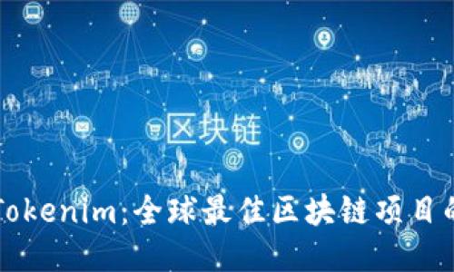 探索Tokenim：全球最佳区块链项目的平台