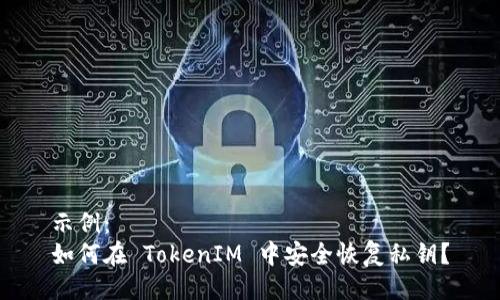 示例：
如何在 TokenIM 中安全恢复私钥？