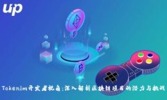 Tokenim开发者视角：深入解析区块链项目的潜力与