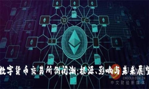 数字货币交易所倒闭潮:根源、影响与未来展望