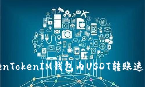 探索TokenTokenIM钱包内USDT转账速度的奥秘