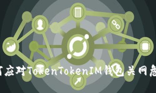 如何应对TokenTokenIM钱包关网危机？