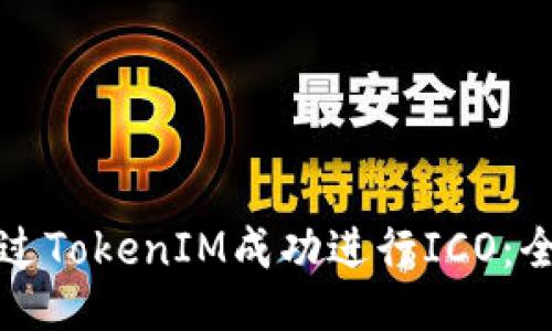 如何通过TokenIM成功进行ICO：全面指南