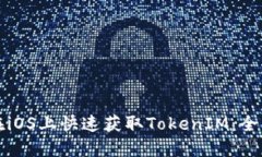 如何在iOS上快速获取TokenIM：全面指南